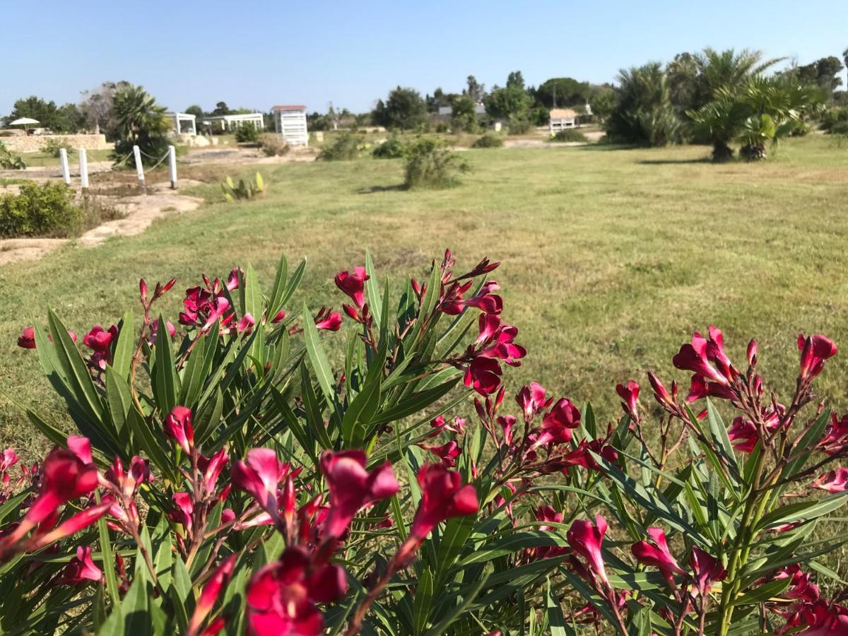 Masseria Gelsi Torre Chianca Exteriér fotografie