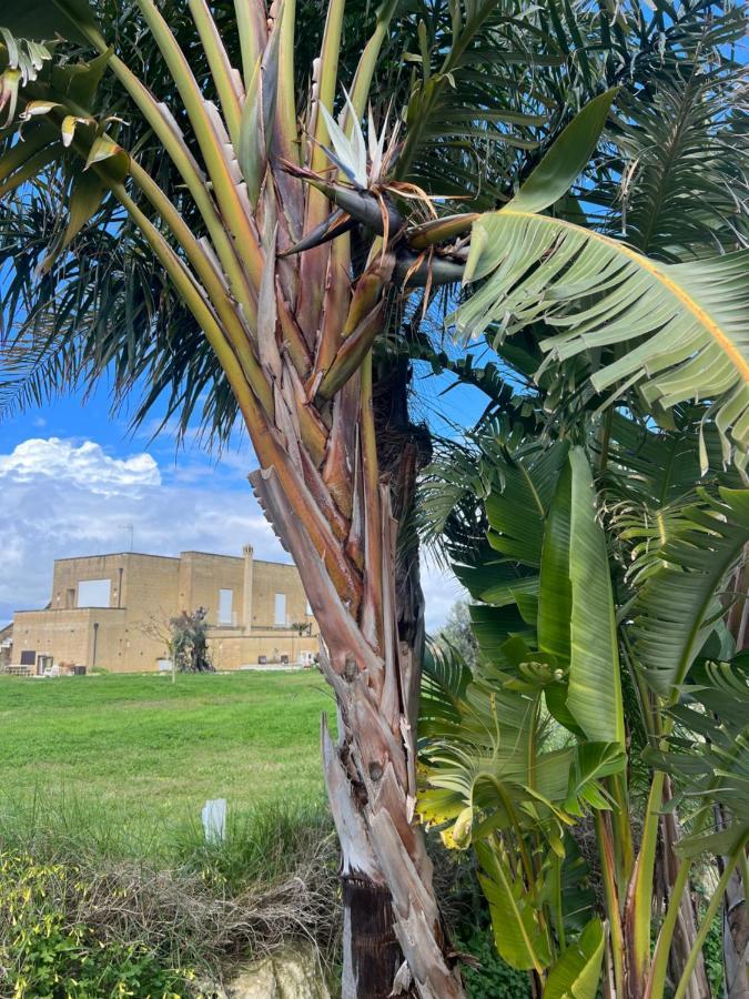 Masseria Gelsi Torre Chianca Exteriér fotografie