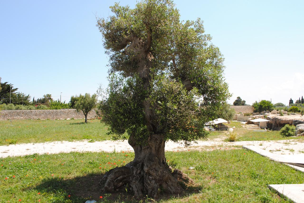 Masseria Gelsi Torre Chianca Exteriér fotografie