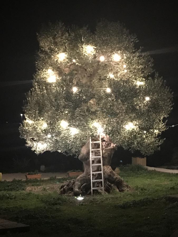 Masseria Gelsi Torre Chianca Exteriér fotografie