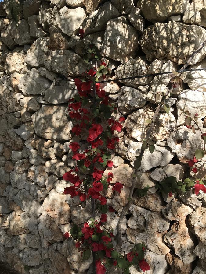 Masseria Gelsi Torre Chianca Exteriér fotografie