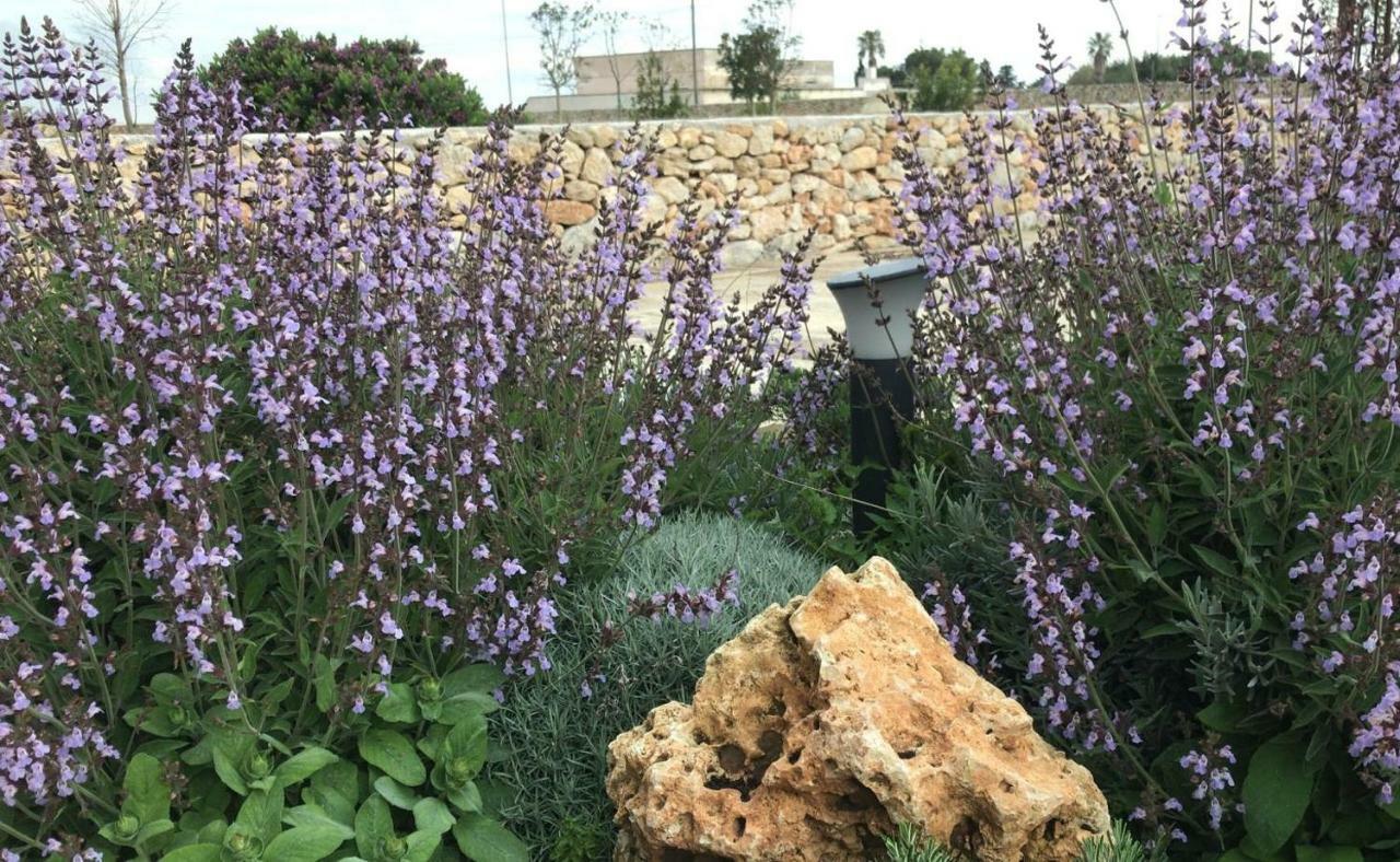 Masseria Gelsi Torre Chianca Exteriér fotografie