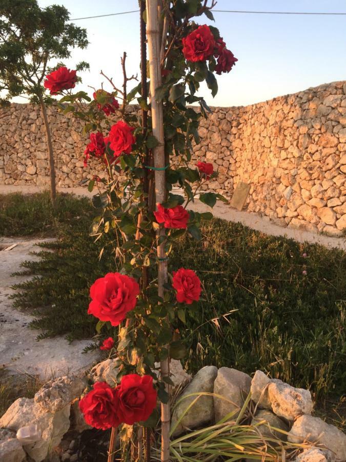 Masseria Gelsi Torre Chianca Exteriér fotografie